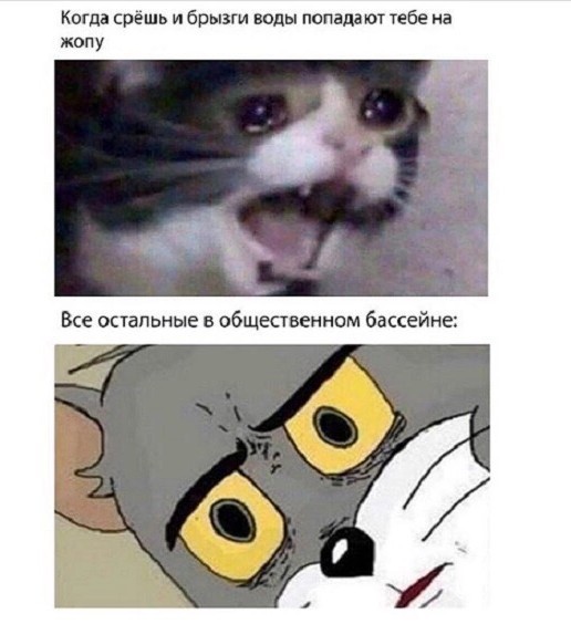 То, что видели мои друзья. Отправленные картинки за несколько лет