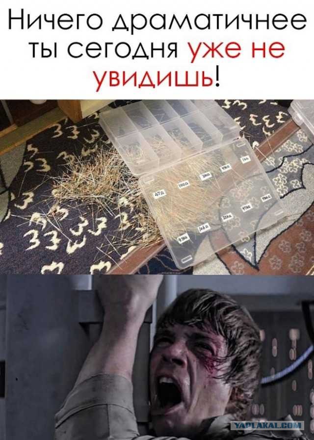 38 разных картинок для настроения (1)