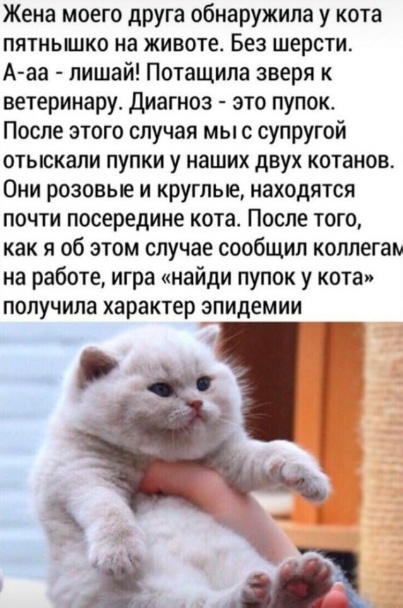 Так себе картинки 20.04.23