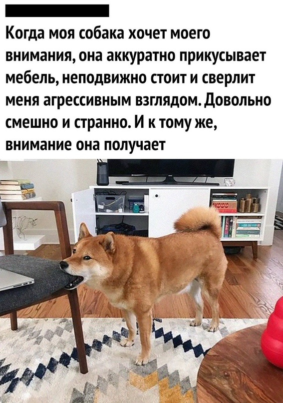 Картинки и мемы, всяко разно - 179