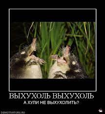 Выхухоль: Сердце пловца, душа праотца!