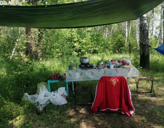 Третий день в лесу