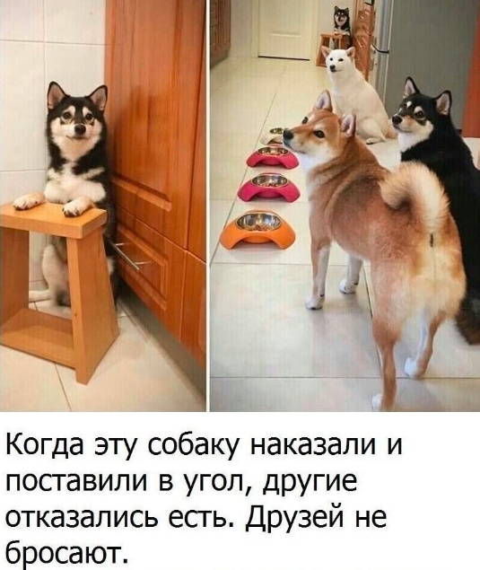 Забавные комментарии из социальных сетей (19.06.23)