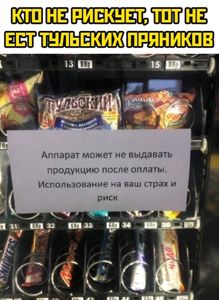 Весёлый полтишок 05.10.23