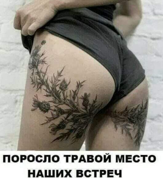 Бояны 10-ти летней выдержки