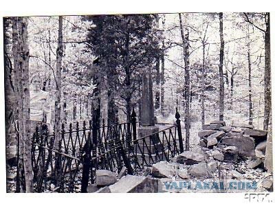 Американка случайно сняла что-то странное