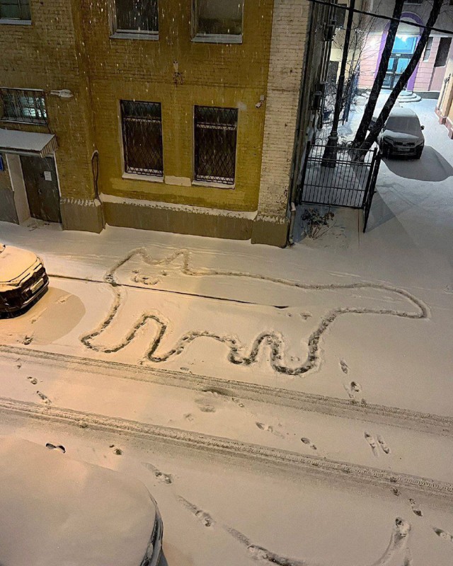 ФотоВинегрет из 50 пикч