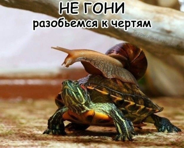 Сброс балласта