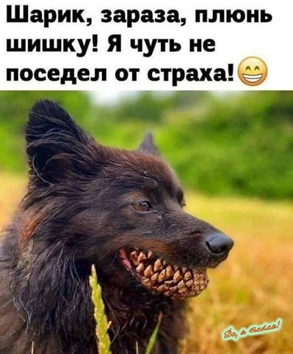 Завалялось тут случайно немного забавных картинок
