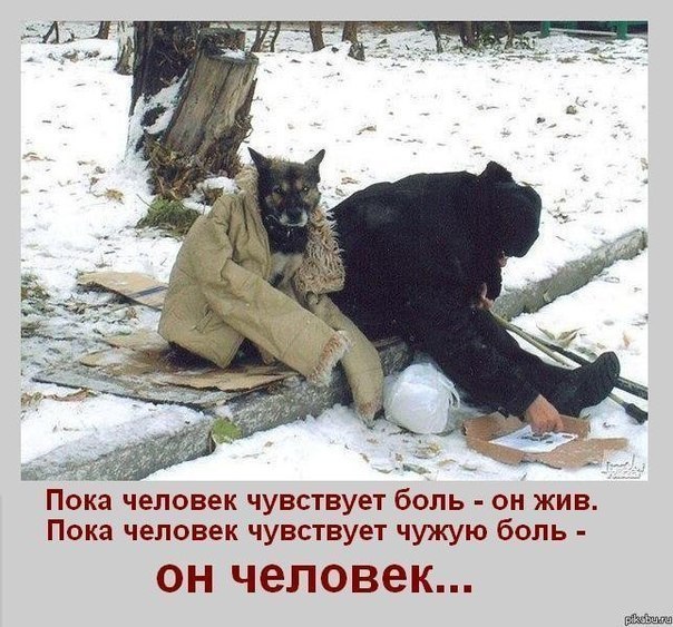 Классная будка