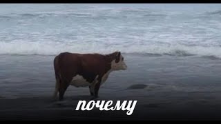 Рукоприкладства пост (о бане)