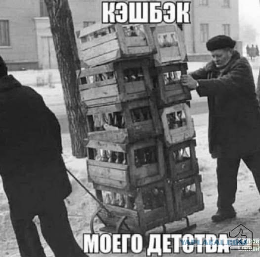 Вопросы к Путину