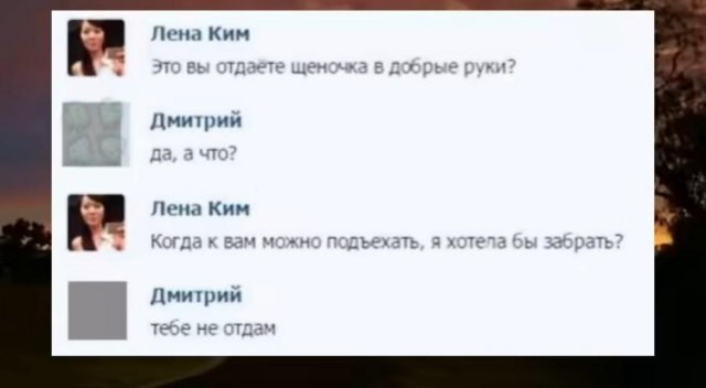 Так себе картинки 24.12.24