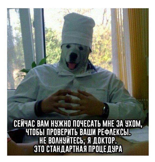 30 картинок на субботу