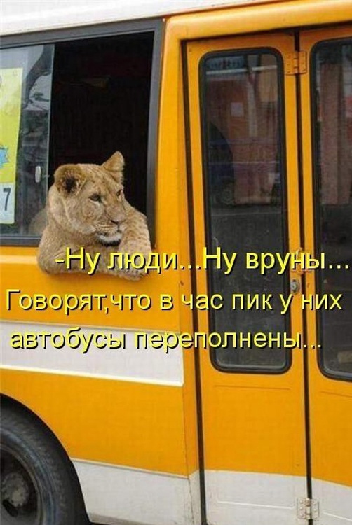 Так себе картинки 30.03.25