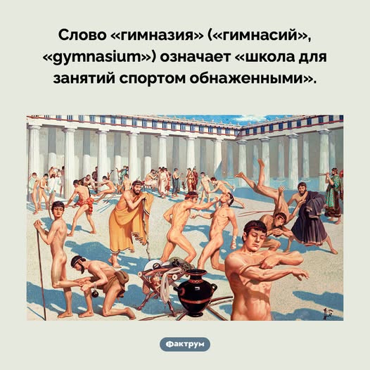 Картиночки, баянчики 15 декабря