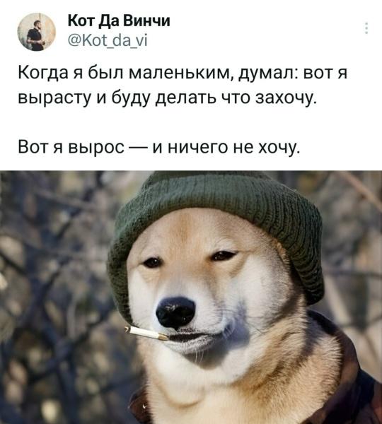 Картинки для деградации 120 (разной степени свежести)