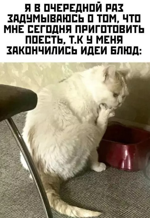 Картиночки, баянчики 15 марта