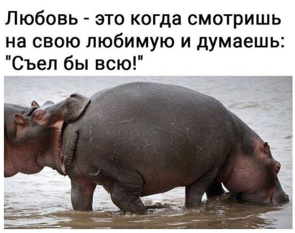 Картиночки, баянчики 20 апреля