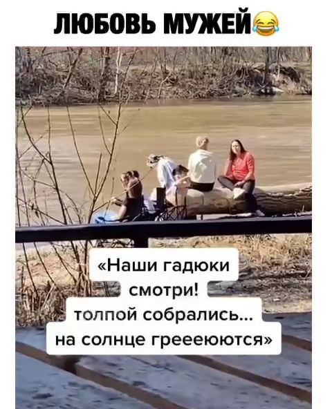 Забавные и не очень скромные картинки - 33