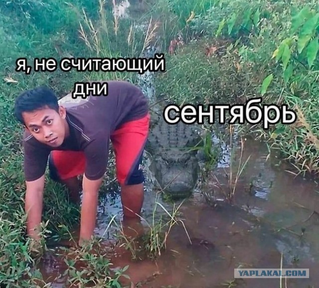 Изображения для сокращения лицевой мускулатуры #4