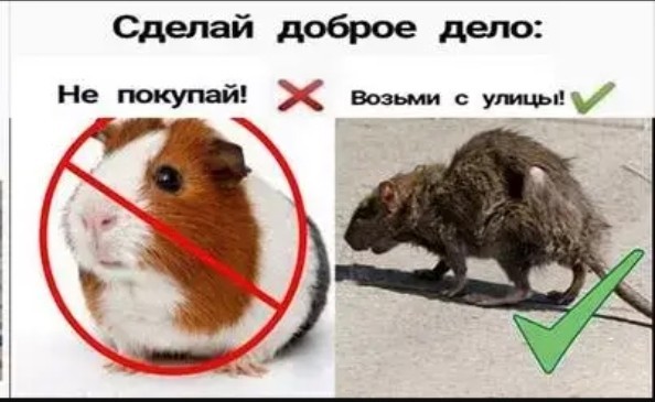 Рассудите.... Дайте свою оценку