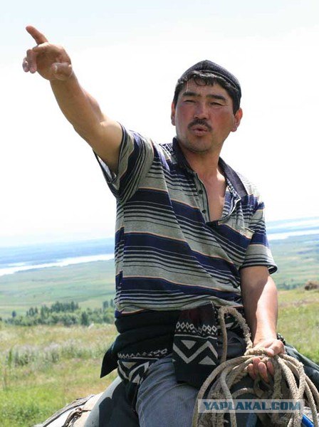 Что бывает, если поставить единицу на мейлрушечке