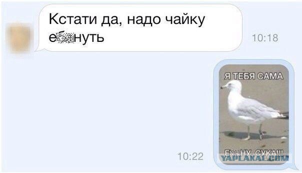 Смешные комментарии из социальных сетей #2
