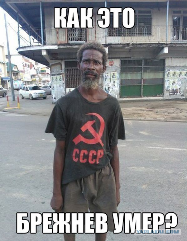 Весёлые картинки. Разбавим будни