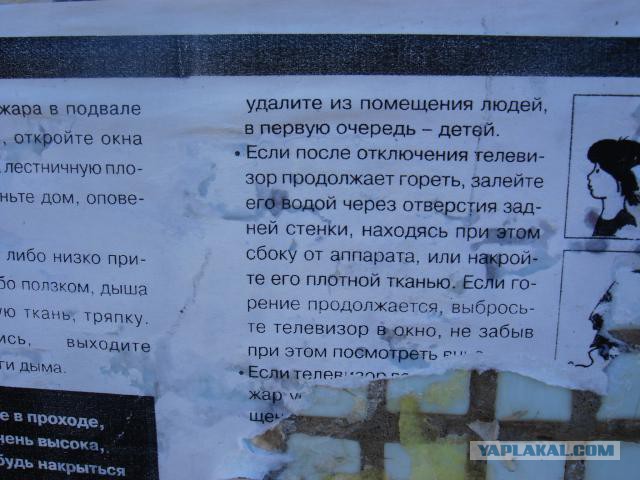 Весёлые картинки