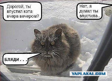Посвящается любителям снимать вертикалки