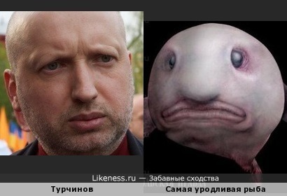 Турчинов призвал украинцев