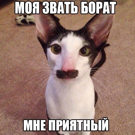 Пятничная подборка