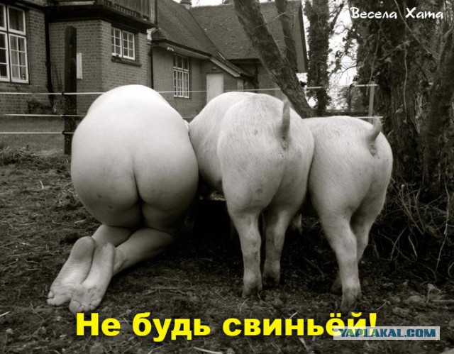Лайки уже не те