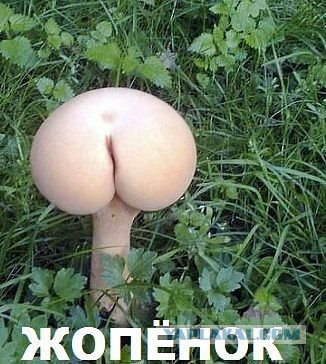 Не ешь меня