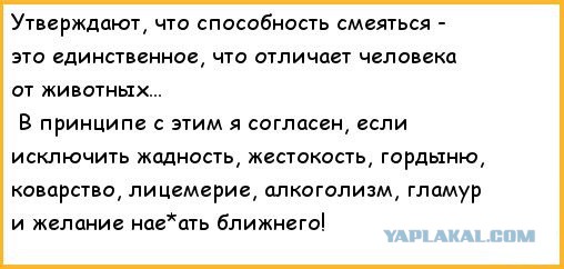 Гордыня