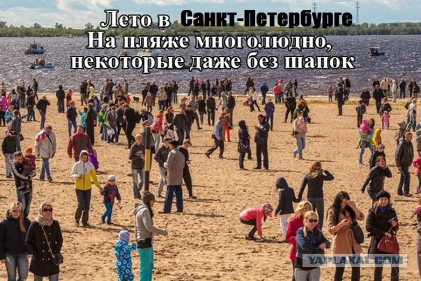 Питерское лето 2015