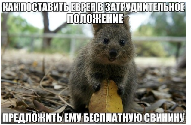 Картинки из интернета