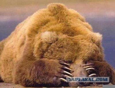 Замуж по любви