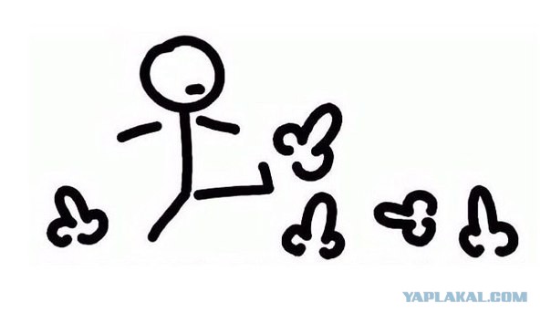 Развенчан миф: муравьи оказались бездельниками!