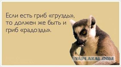 Картинки на пятницу
