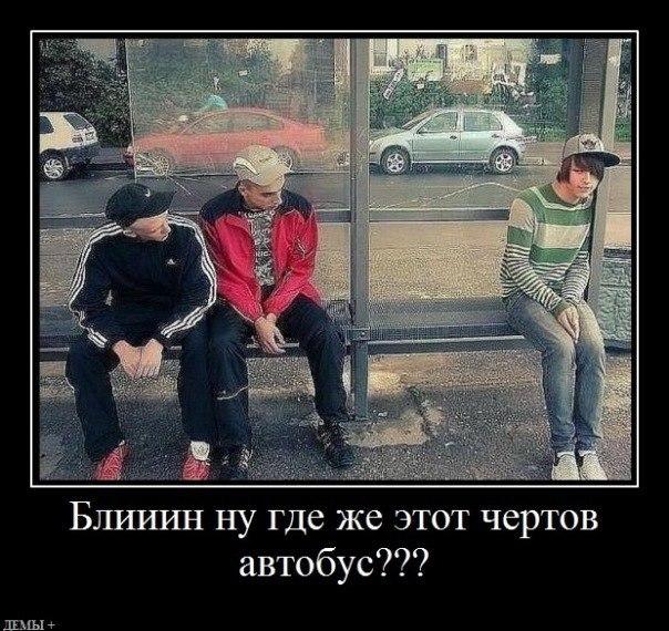 Картинки  из сети