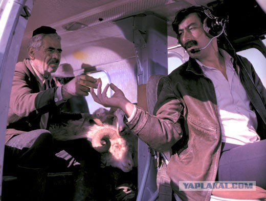 Улетит вдруг волшебник в голубом вертолете...