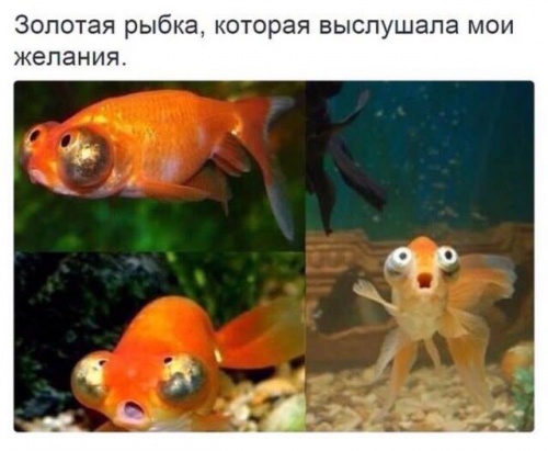 Подборка картинок из сети