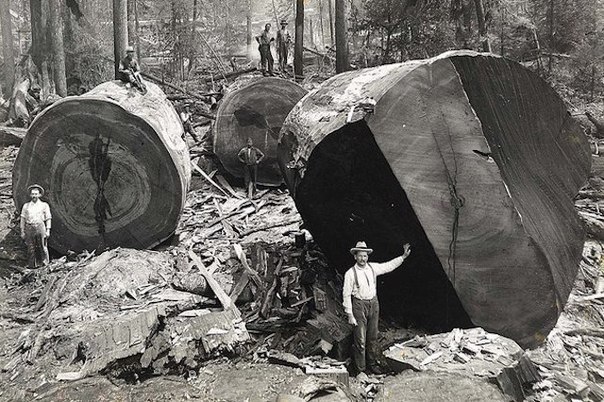 Подборка картинок 19.02.16