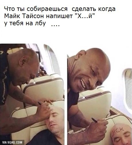 Ужасы и приколы из соцсетей 18+