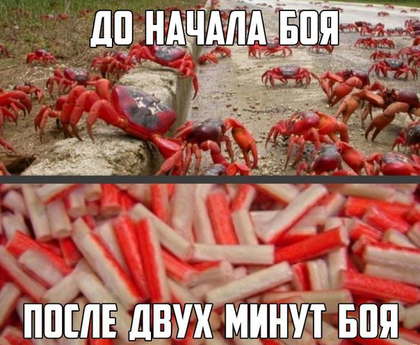 Wargaming 34