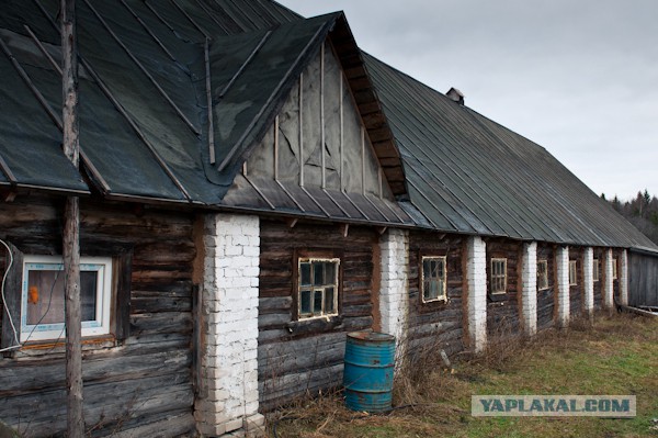 Как делают фермерский сыр