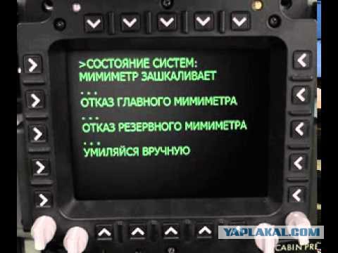 Спасённый лисёнок, который не расстаётся со своим плюшевым кроликом