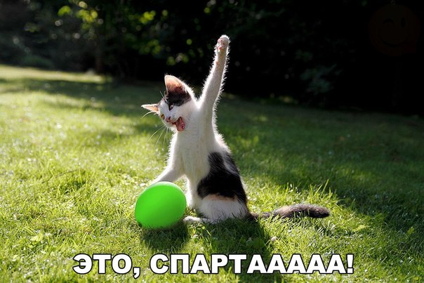Божьи твари